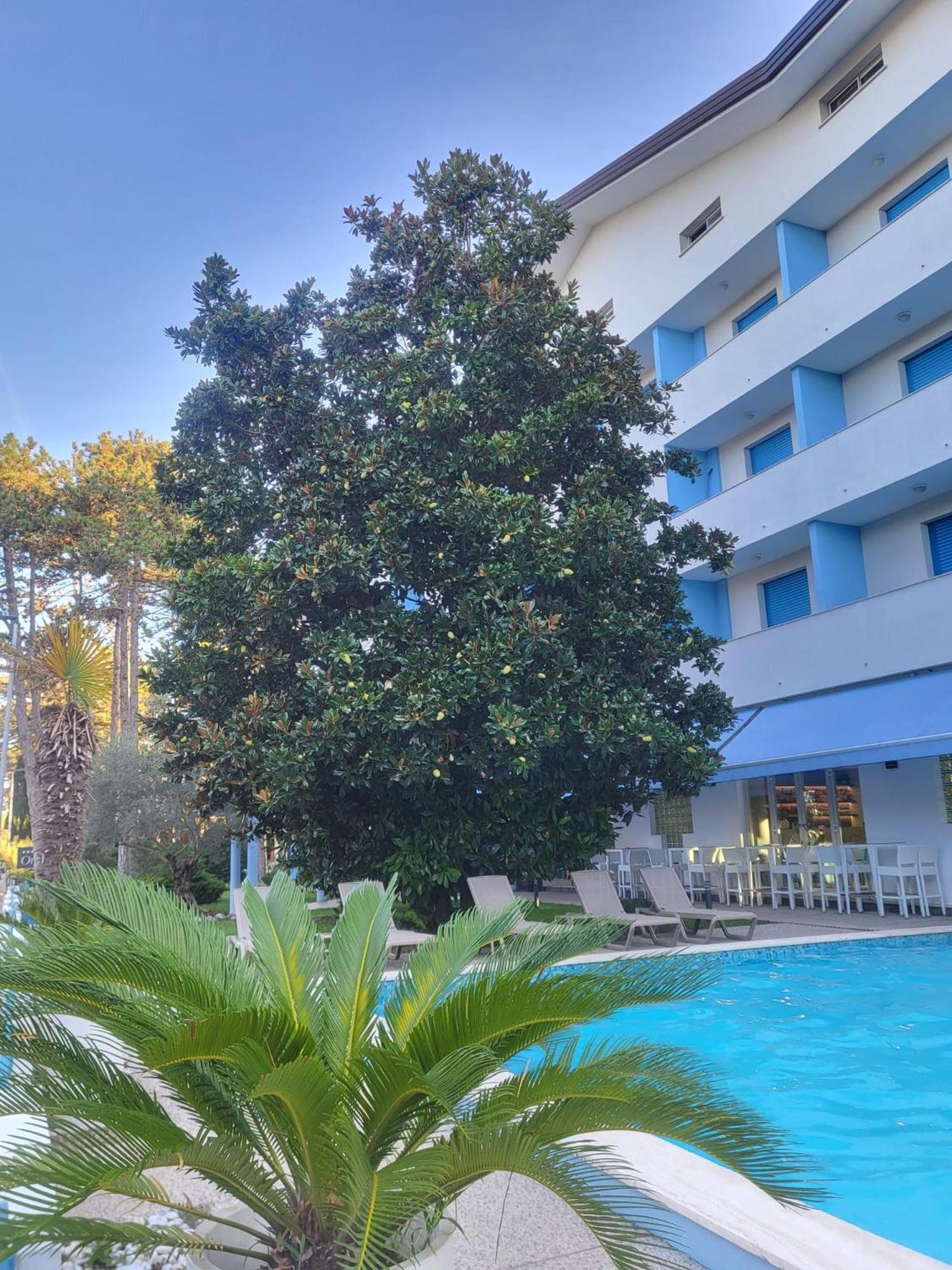 Hotel Olympia Линьяно-Саббьядоро Экстерьер фото
